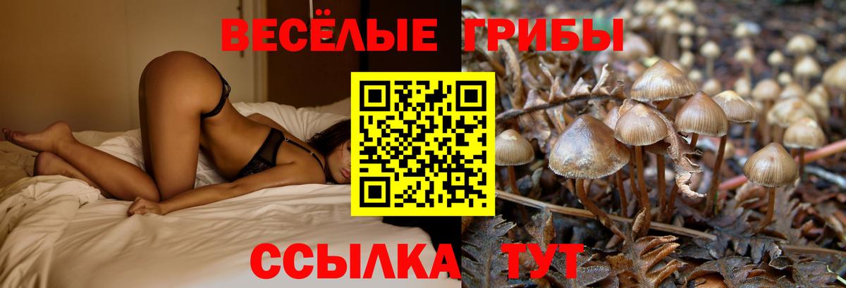 Галлюциногенные грибы Psilocybe  Вход с VPN  Лянтор 