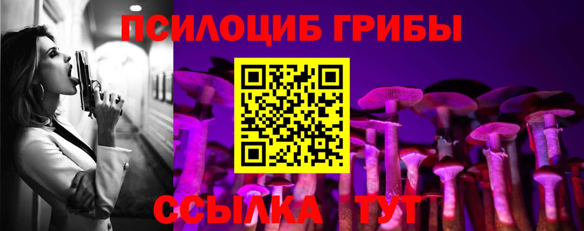 Псилоцибиновые грибы Cubensis Лянтор